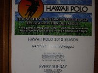IMGP1703  Polo - Hawaiian style.