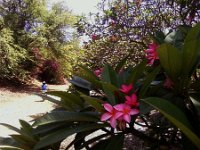 Photo0024