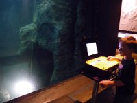 IMGP2296  Controlling an ROV with the joystick - Sam was able to drive it into this cave (to right of aquarium) just like the ROVs on his BBC documentaries. Pretty cool!