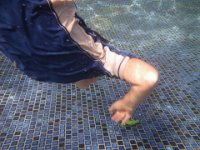 IMGP2640  Sam diving down 5 ft to fetch a lizard Ben thew in for him (not a real one!).