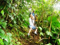 Old Pali Rd to Lookout hike