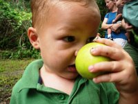 IMGP1421  Ben carried this Meyer lemon around the whole time - alternating between smelling it gently and tossing it 20 ft ahead to chase it.