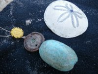 IMGP1752  Angie decorated her sand dollar with glitter glue...and she got to keep the one I made in the foreground.