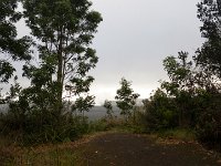 IMGP2615
