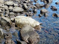 IMGP2725