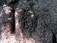 Punalu'u Black Sand Beach