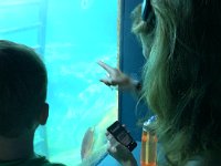 Sea Life Park