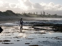 tide pools