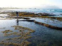 IMGP2419  Ben and I are in the far left background exploring a small Ben-sized tide pool while Sam does his own exploring.
