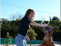 12-25-03DoggiePlayTime (24) (Large)