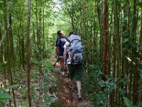 2011-02-15Pu'u 'Ohi'aHikers (26)  Ang and Rachel, and Tamara. Love the bamboo forests.