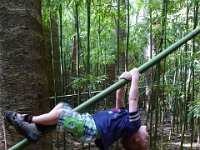 2011-02-15Pu'u 'Ohi'aHikers (32)  This just doesn't get old :) Ben loves to hang from just about anything!