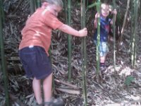 IMAG0160  Bamboo is so fun to climb around on!