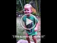 I like to move it move it