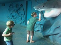 IMAG0229  A new shark "feature" for lack of a better word. Look at Ben's reaction!