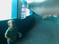 IMAG0231  Finally warming up to it and showing his OWN big shark mouth!