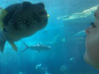 IMAG0233  Puffer was looking right at Sam!