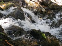 IMGP2947