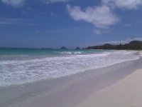 2011-05 MAY