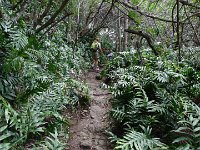 2011-05-27Mariner'sRidgeHikeSamBackWithUs (18)