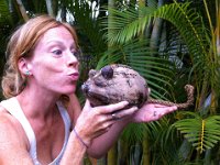 rat art  In love with my glue gun, I made this from a coconut and kukui nuts we found on our beach jog. Should this be my head shot for my business? Or on my "mommy card" to introduce myself in our new home?