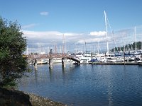 IMGP4089  The Marina in Bainbridge. The rowing club was hanging out by their shells. I'm going to have to check that out.