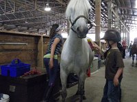 IMGP4668  Sam's horse, Tucker. He is learning to groom. My first pony was a Welsh Cobb like this one, white, too. By the end of the hour with the horses, I was struggling to hold back tears. I was this girls age (the one to the left of the horse) when I was riding a white pony.