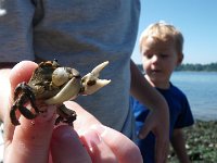 Ft Ward beach walk
