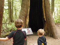 IMGP4346  This was bravely stood guard through a fire. Boys couldn't stop talking about this tree. Made a big impression.