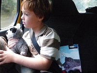 IMGP4397  And a raccoon for Sam! Some very tired boys. We are on our way home to hook up with Katy, the arborist, so we can officially "meet" our trees. So excited about learning from her.