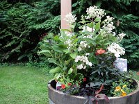 IMGP4196  Planter! Love it!!!!
