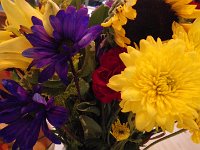 IMGP4540  Flowers from John and Christine - so pretty!
