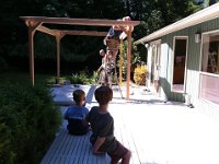 move in day 3  and carpenters building a pergola. This is all going on less than 48 hours after moving in.