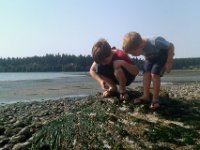 Geoduck adventure