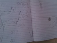 IMAG0754  Sammy doing some drawing of a blue whale, the biggest creature on earth, and a shark, and a dogfish. We were talking about ratios and proportions last week so he drew some guys of different sizes.
