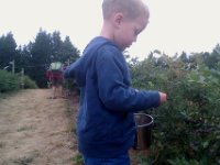 IMAG0798  So off we went to blueberry picking at a local farm.
