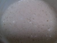 IMAG0852  What a healthy sourdough yeast starter looks like after weeks of nurturing ;0