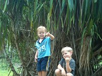 from Tamara  Oh so nice to get a surprise memory from a dear friend! This is Ben and Cam in Kahana Valley last spring.