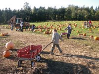 IMGP5055  Off to grab pumpkins from the Day Road farms just .1 mile from us!