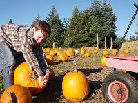 Pumpkin Patch