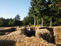 IMGP5071  The hay bale maze is a huge hit!