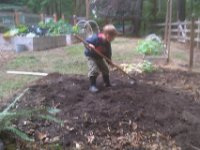 IMAG0913  Ben is out cultivating the pen area. He LOVES the "baby hoe" - loves it. I don't love worrying about two boys hoeing within inches of each other. But that is what they have been doing while we build the run for the chicken coop.