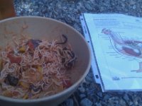 IMAG1000  Chicken recess with playmates - spaghetti, a worm gathered from under a stump, and a chicken anatomy sheet.