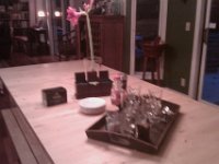 IMAG1253  A tea party with school district personnel to talk about the new STEM program. Mom, see the amaryllis?