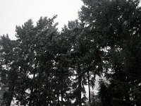 IMGP5851