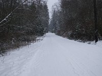 IMGP5918