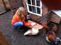 window glazing4