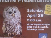 IMAG1627  This little owl, Athena, doesn't much care for it when Ben visits with Eagle. We may go to this, or we may not, just a sample of one of the many activities here.