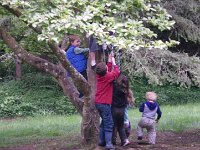 IMGP6557  The pulley system in use, hauling children up the tree.