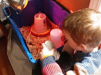 Hatch day